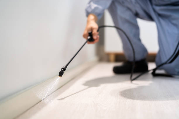 Rodent Entry Point Assessment in Hialeah