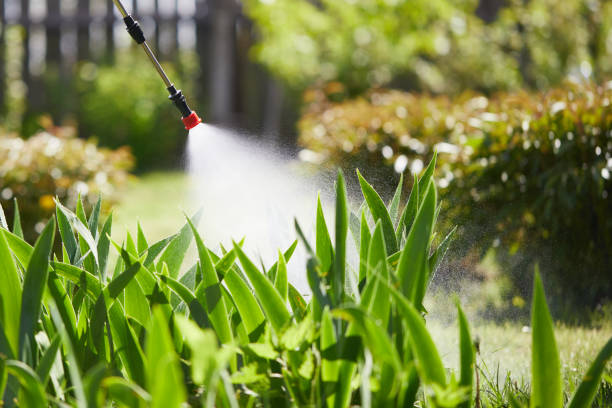 Tamper-Resistant Bait Stations for Rodents in Hialeah